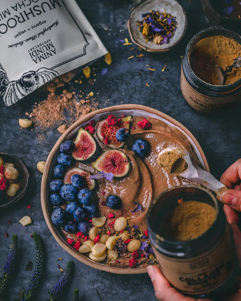 Mushroom Mocha Milk / Adaptogenic Creamer